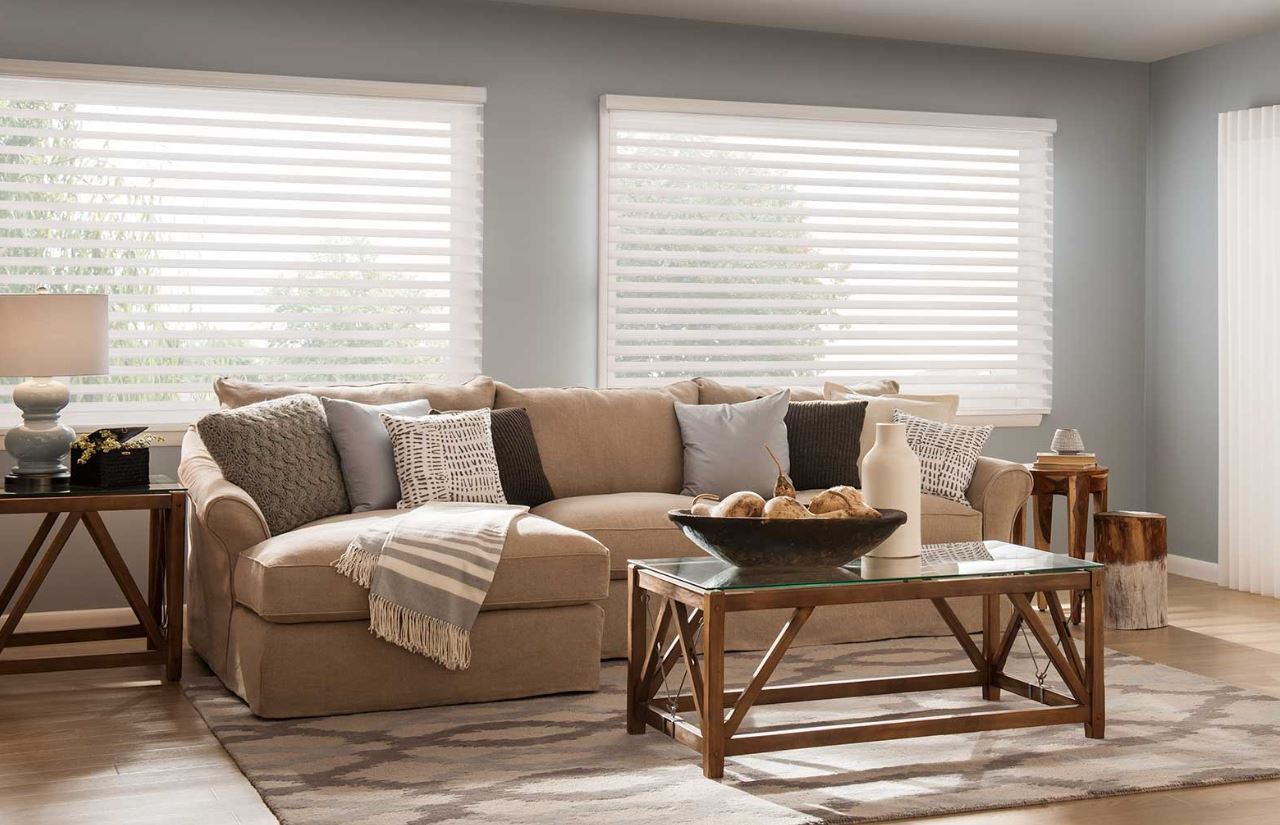 zebra blinds